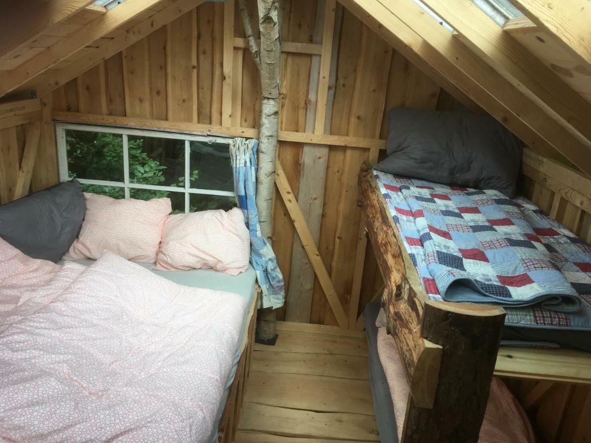 Treehouse B&B Rabjerg Luaran gambar